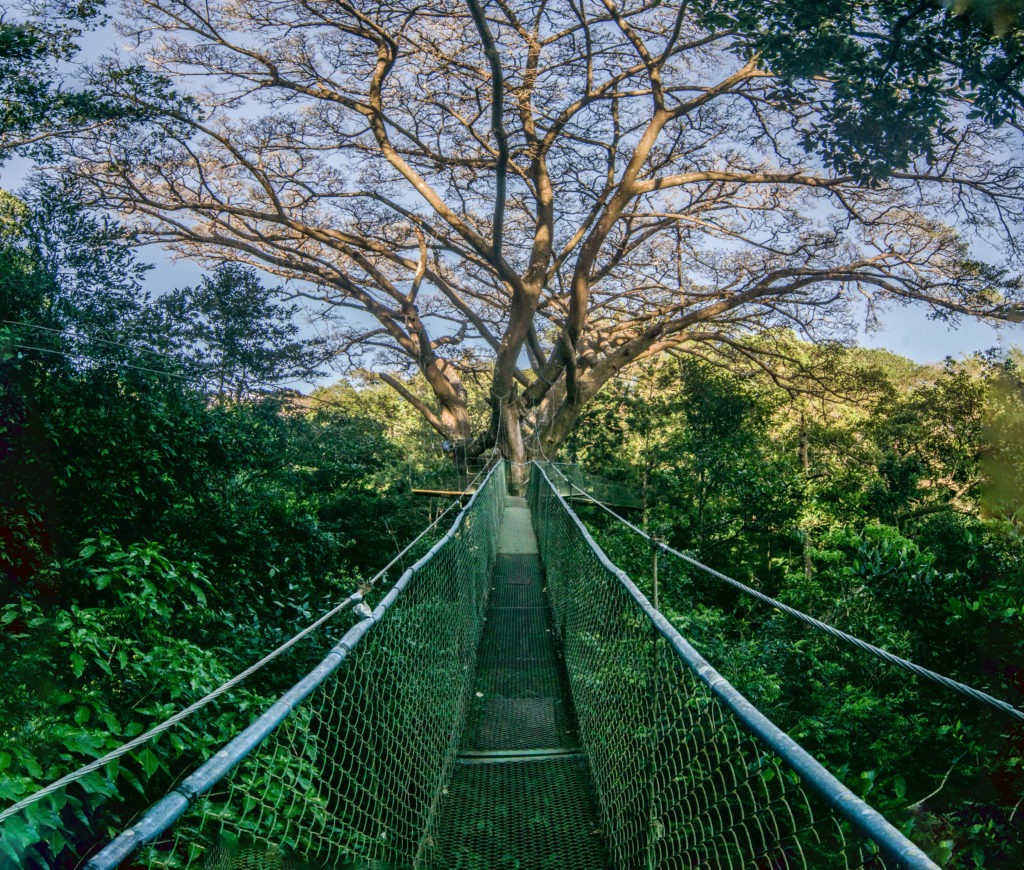 Buena Vista del Rincon