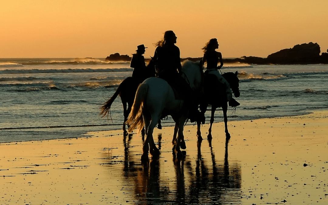 nosara beach costa rica